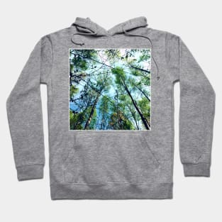 birch forest Hoodie